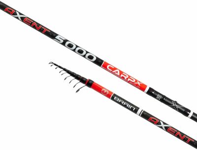 Вудилище болонське Brain Axent Carp X Bolo 6.00m 50-150g