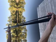 Карпове штекерне вудлище Feima Raven Carp  (тест 3.5 lbs) 
