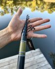Болонське вудилище Feima Toreador Bolo 600 (50-100 г)