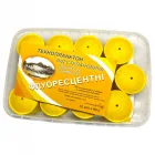 Флуоресцентный Планктон от Степановича